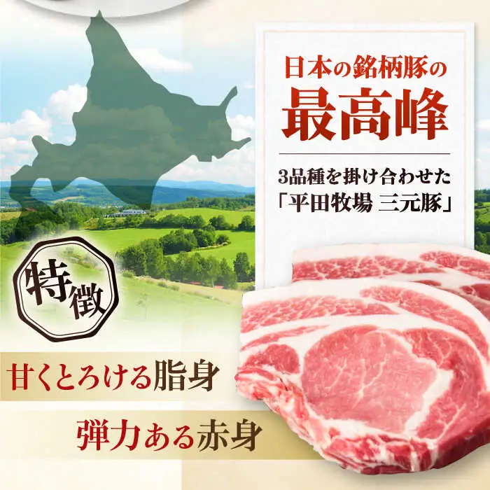 【全12回定期便】平田牧場 ロース ブロック 1.2kg (600g×2P)  豚肉 ローストポーク 煮豚 [AJAP101]