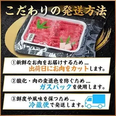 飛騨牛　切り落とし　約500g【冷蔵便】A4～A5等級 黒毛和牛 小分け_肉  牛肉 _【配送不可地域：離島】【1531510】