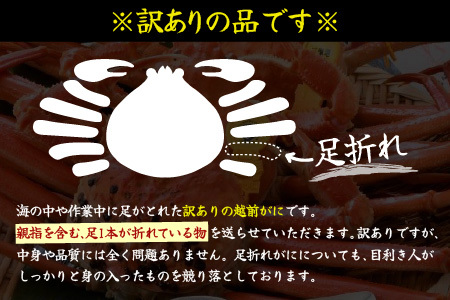 【1月発送】【先行予約】【訳あり】越前がに（小）2～3杯 指折れ 越前ズワイガニ [C-4352_01]