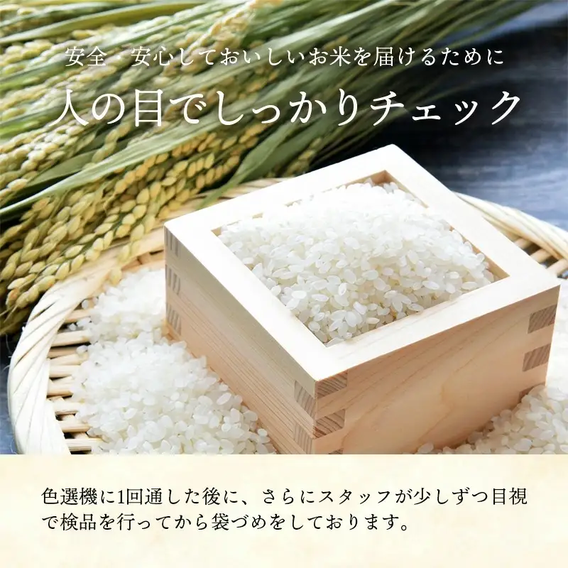 【無洗米】令和7年産 開運米 コシヒカリ（減農薬）幸手産 - 5kg×2袋 10kg こしひかり 福祉 応援 安心 安全 埼玉県 幸手市 幸手市産