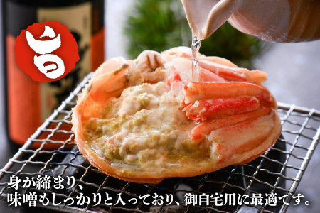 【2月発送】【先行予約】【訳あり】越前がに（中）1杯 指折れ 越前ズワイガニ [E-4353_02]