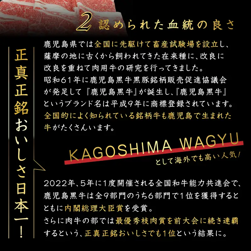 鹿児島県産 黒毛和牛スライス（ブリスケット）500g K151-001 肉 牛肉 冷凍