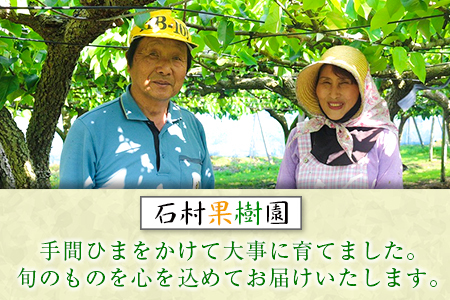 ＜期間・数量限定＞石村果樹園の『陽豊柿(ようほうがき)』計4kg以上 宮崎県新富町産 くだもの デザート【B624-26】