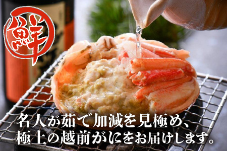 【3月発送】【先行予約】【訳あり】越前がに（中）2杯 指折れ 越前ズワイガニ [J-4304_03]