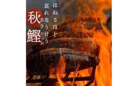 特選わら焼き戻り鰹のタタキ 約450g×2節 ニンニク1玉・たれ・薬味付き