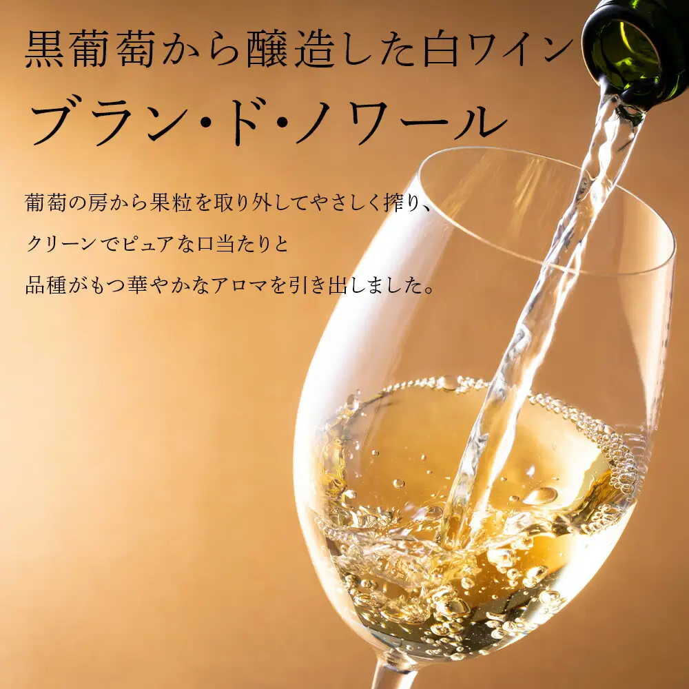 葡萄作りの匠 北島秀樹ピノ・ノワール ブラン･ド･ノワール2023 750ml 2本_Y020-0653