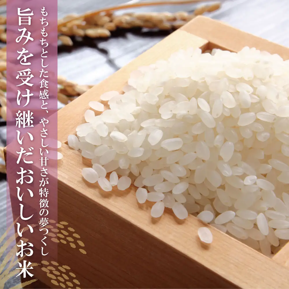 Z17-13 令和7年産 無洗米 夢つくし5kg