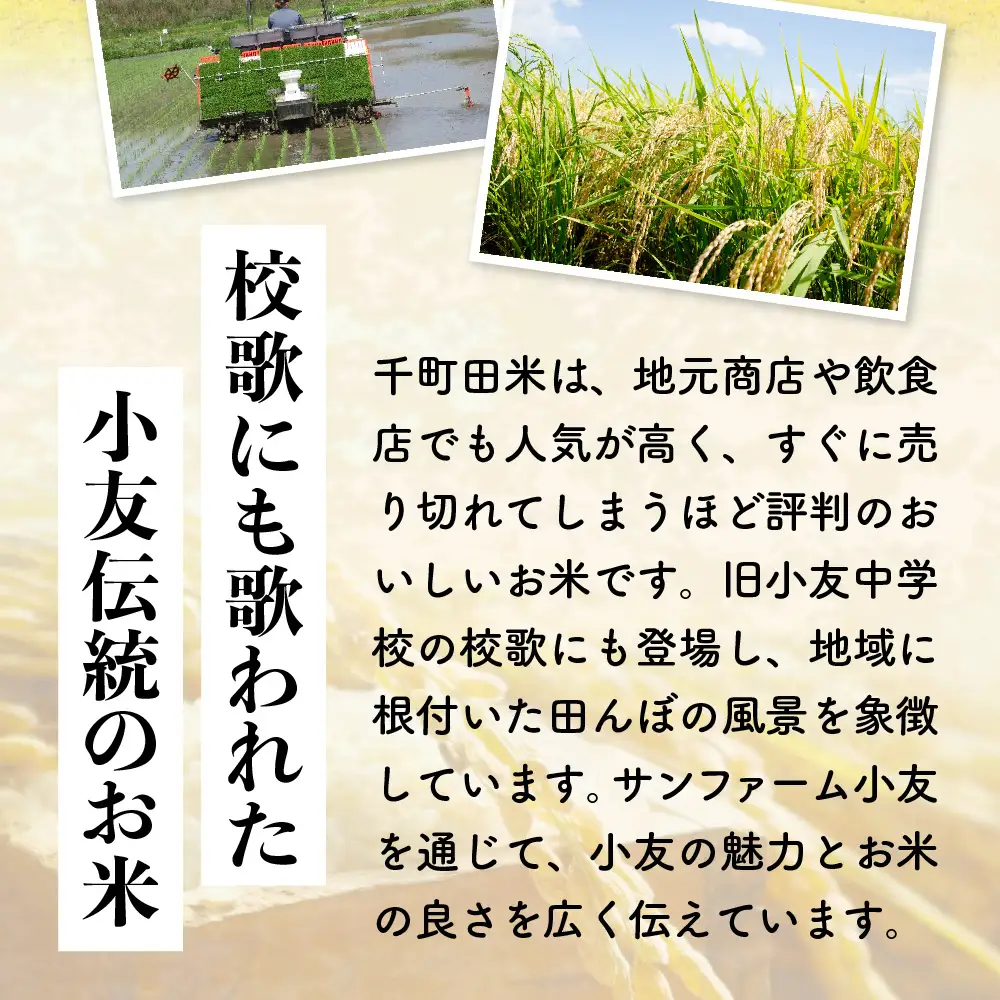 【令和8年産】ひとめぼれ 白米5kg 布袋様袋の千町田米 ひとめぼれ