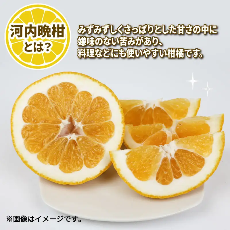 愛媛みかん 訳あり 河内晩柑 約 4kg 甘夏 約 4kg セット ワールドファーマーズ わけあり 先行予約 かわちばんかん あまなつ 愛媛蜜柑 愛媛ミカン 訳あり品 みかん mikan 果物 くだもの フルーツ 柑橘 蜜柑 産地直送 数量限定 愛媛県 国産 宇和島 B010-024027