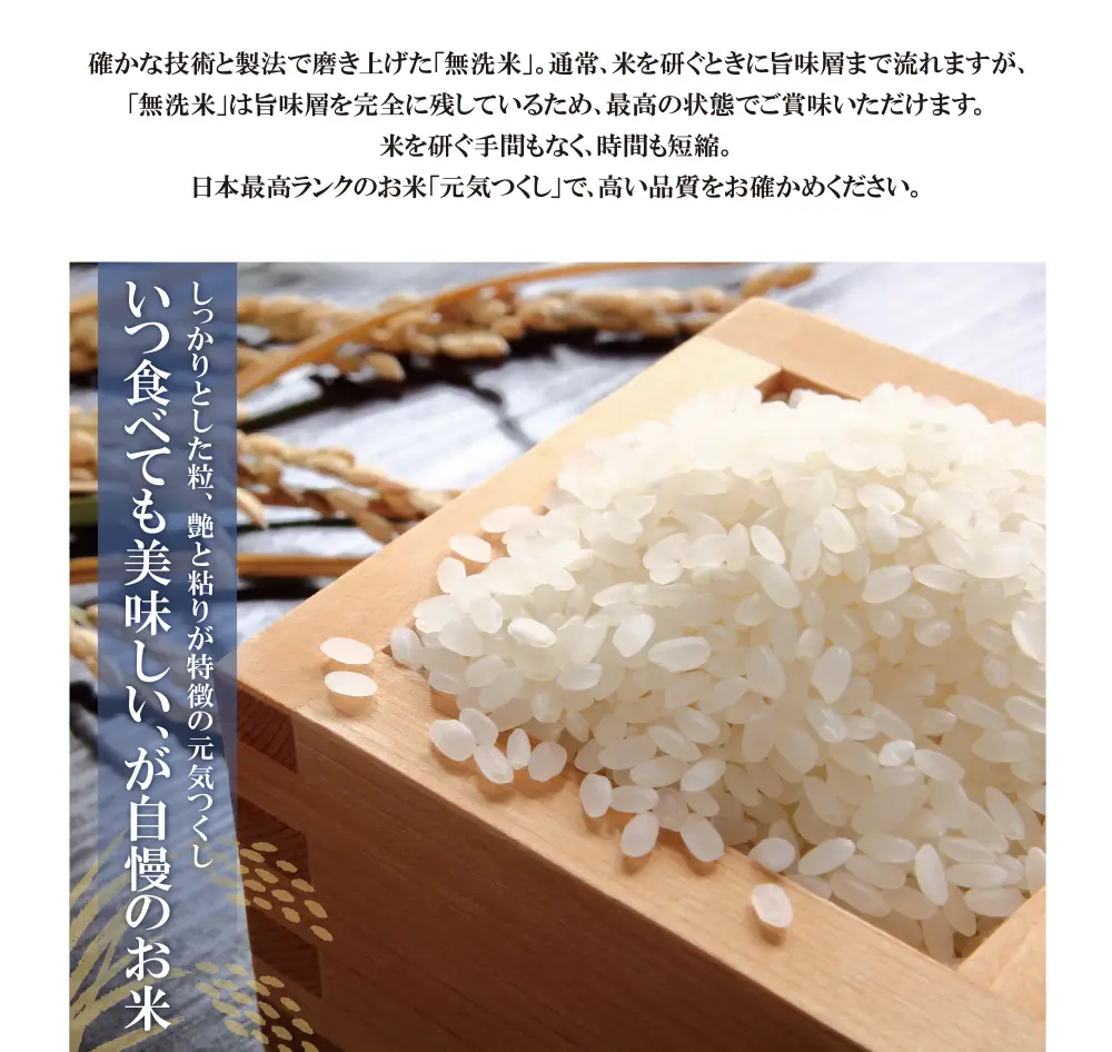 Z17-22 令和7年産 無洗米 元気つくし10kg