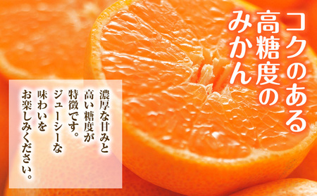 みかん 約5kg (2S-2Lサイズ) 金峰柑橘組合株式会社 ミカン 柑橘 フルーツ 旬 熊本県 玉名郡 玉東町 《10月中旬-1月中旬頃出荷》贈り物 果物 くだもの