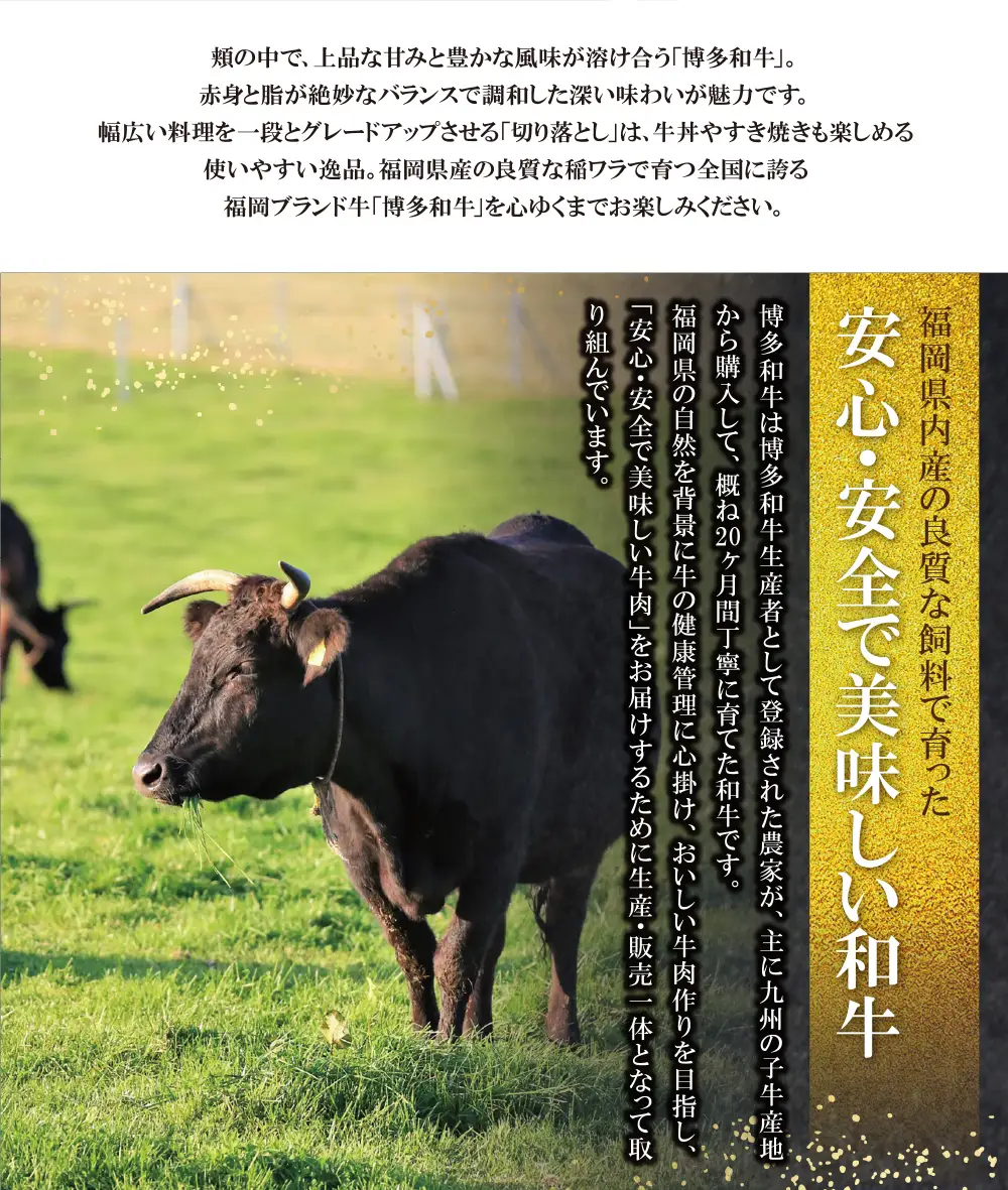Z09-01 博多和牛 切り落とし500g 牛肉 