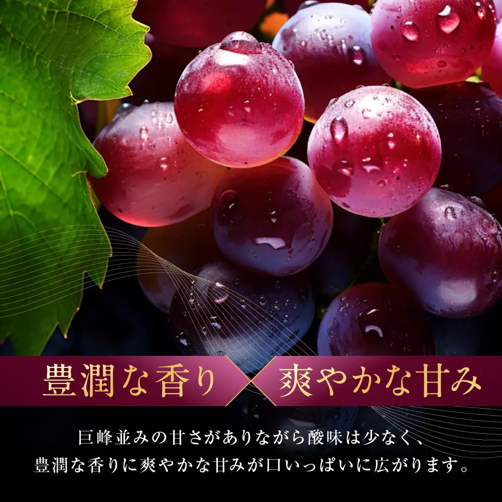 高級ぶどう ルビーロマン 600g 大粒 希少品 贈答用 ギフト お中元 夏ギフト プレゼント