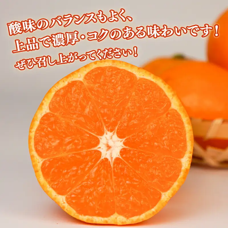 みかん 石地温州10kg家庭用 兵頭農園 愛媛みかん愛媛みかん B015-055005