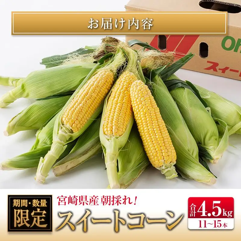 ＜2027年発送＞朝採れスイートコーン 計約4.5kg 宮崎県産