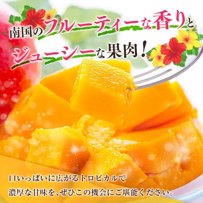 ＜2027年発送＞宮崎県産 完熟マンゴー 2玉（1玉 約400g）