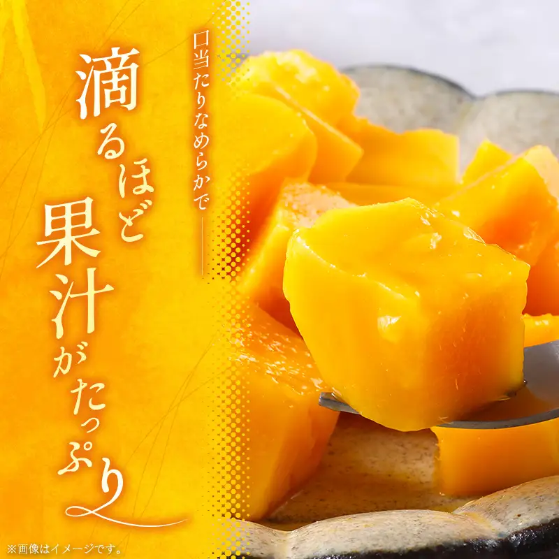 ＜2027年発送＞宮崎 完熟マンゴー＆ライチ セット