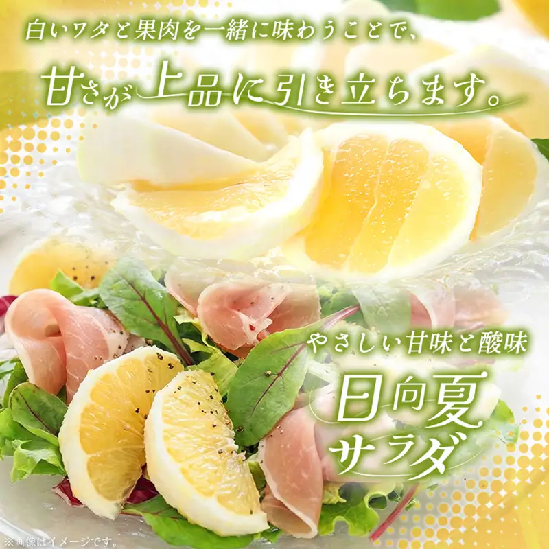 ＜2027年発送＞宮崎県産 ハウス日向夏 約2.5kg（9～15玉入）