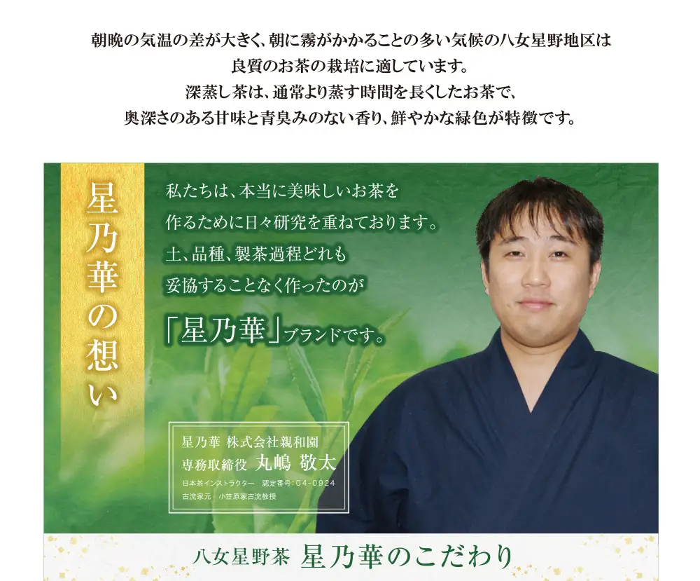 Z26-11 八女星野 深蒸し茶(6本詰め)  緑茶