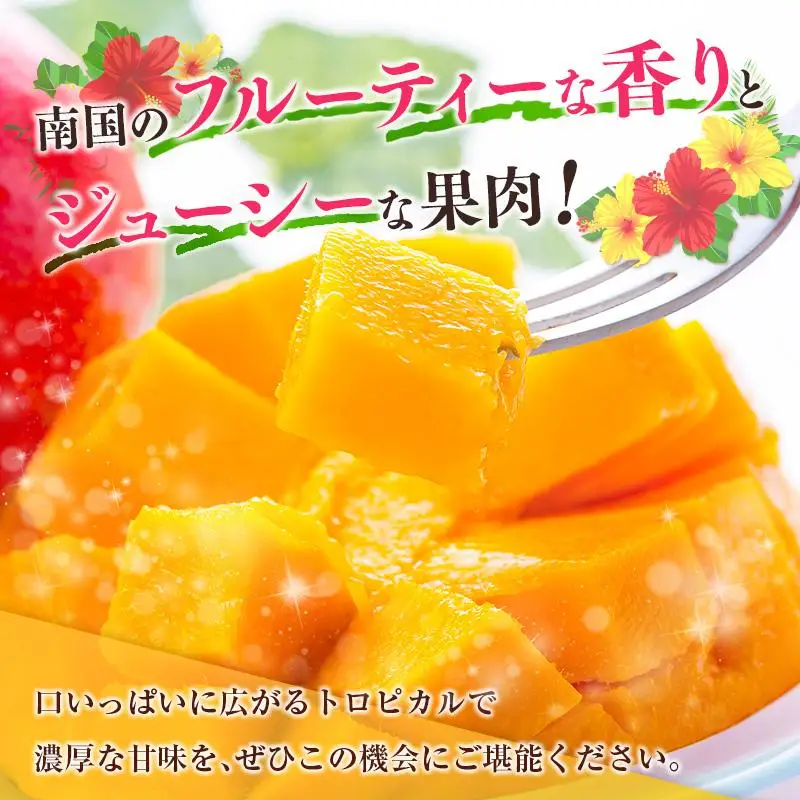 ＜2027年発送＞定期便 完熟マンゴー 約400g×2玉 全3回