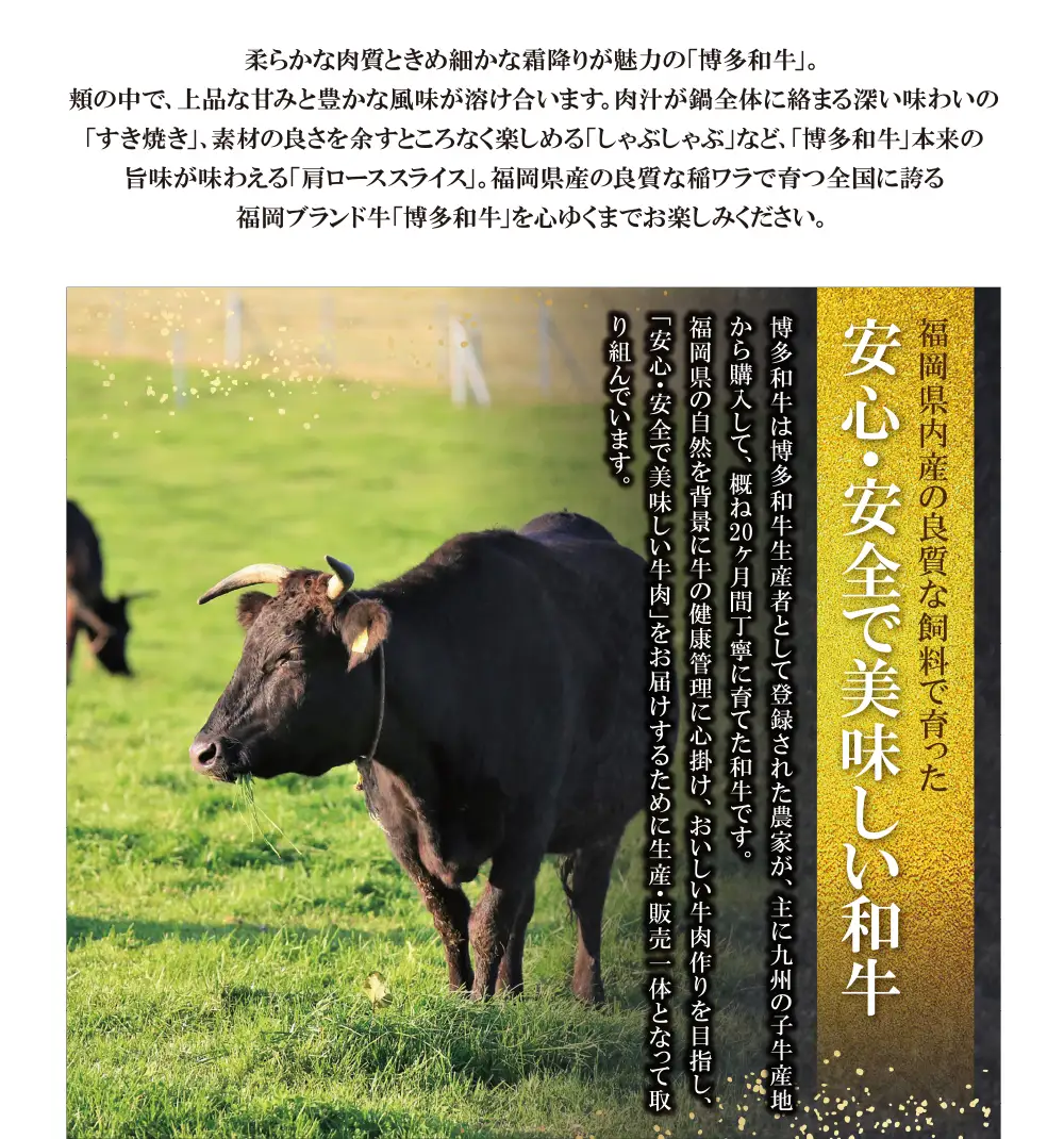 Z09-06 博多和牛 肩ローススライス1kg 和牛