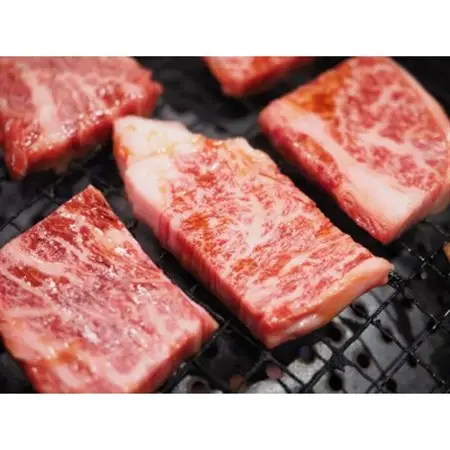 【毎月定期便】博多和牛 A4～A5 焼き肉用【厳選部位】(500g)全12回_肉 焼肉 牛肉 やきにく ヤキニク バーベキュー  定期便 定期便  _【配送不可地域：離島】【4054210】