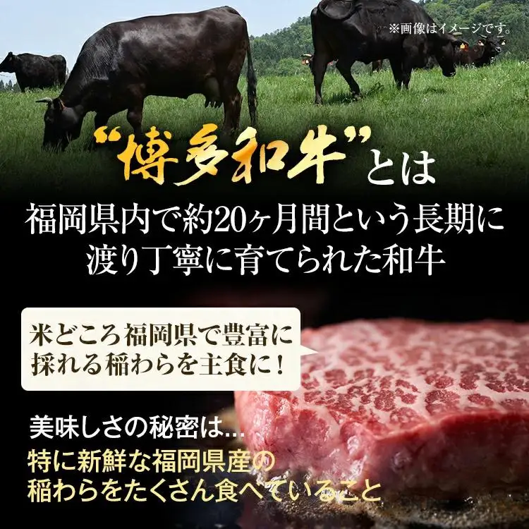 ステーキ 博多和牛モモステーキ 500g CP040