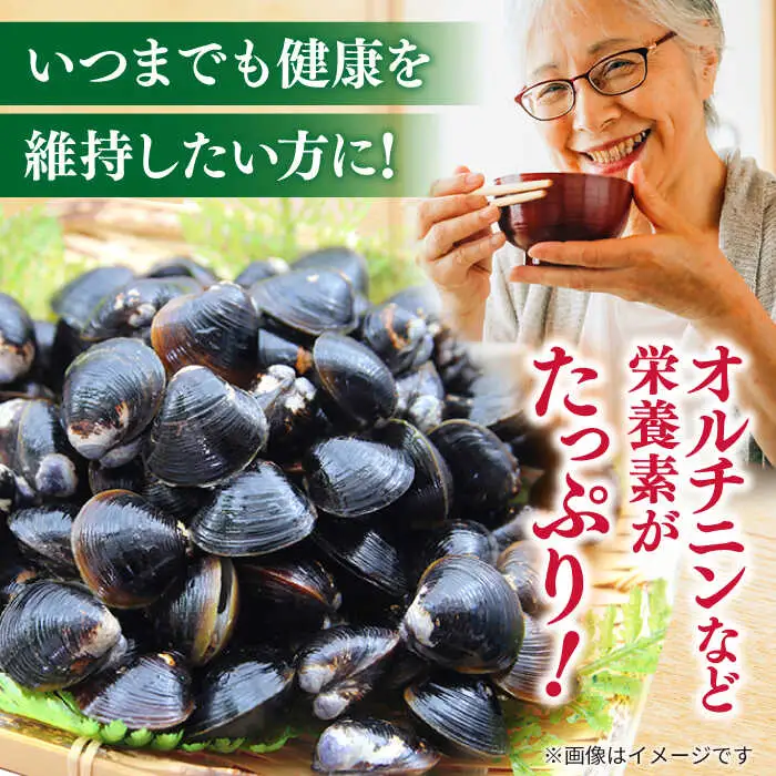 しじみ 【砂抜き不要】お湯をそそぐだけ！宍道湖産しじみのみそ汁1食用×5袋セット 島根県松江市/平野醤油[ALCA009] しじみ しじみ