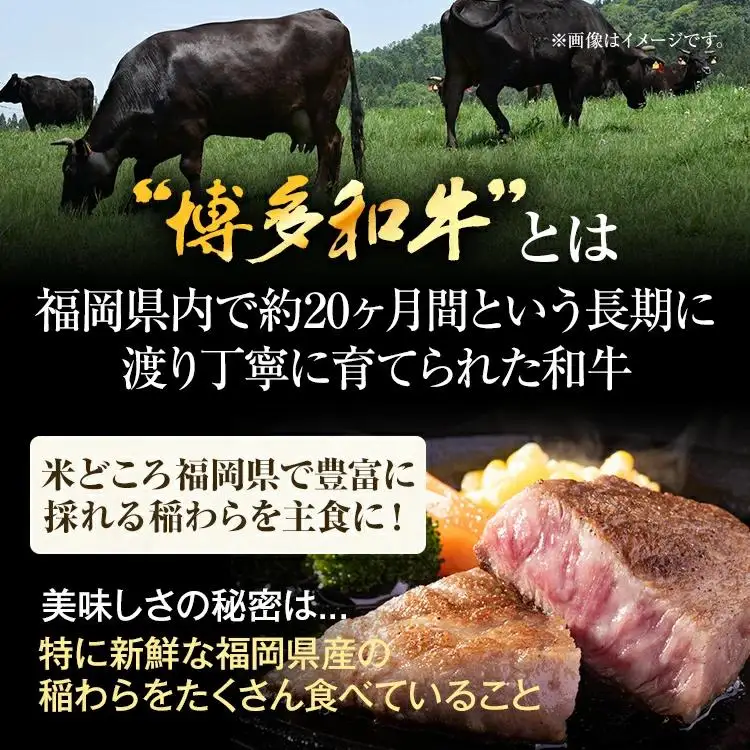 【厳選希少部位】【A4～A5】博多和牛ミスジステーキ 約300g 黒毛和牛 お取り寄せグルメ お取り寄せ お土産 九州 福岡土産 取り寄せ グルメ MEAT PLUS CP043