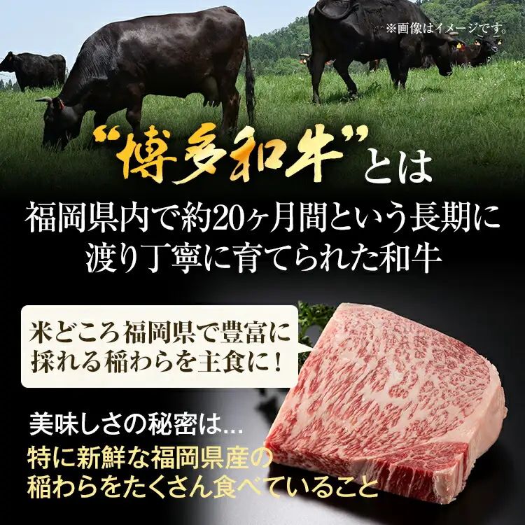 【厳選部位】【A4～A5】博多和牛サーロインブロック 約1kg 黒毛和牛 お取り寄せグルメ お取り寄せ お土産 九州 福岡土産 取り寄せ グルメ MEAT PLUS CP046