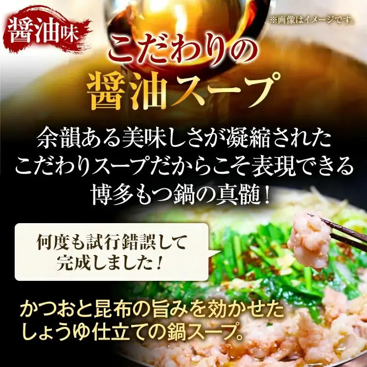 【訳あり】 博多醤油もつ鍋10人前（2人前×5セット） 九州 福岡 MEAT PLUS CP047