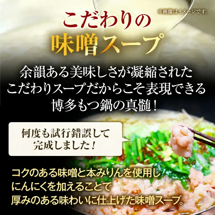 【訳あり】 博多味噌もつ鍋 10人前（2人前×5セット） MEAT PLUS CP048