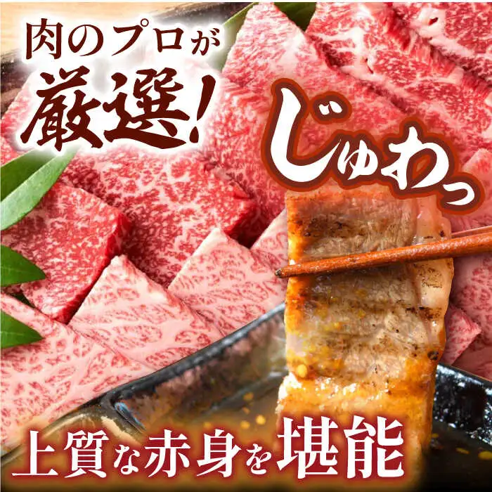 【A4?A5】長崎和牛焼肉用　500g (バラ・肩ロース・モモからいずれか)【株式会社MEAT PLUS】[MG01]