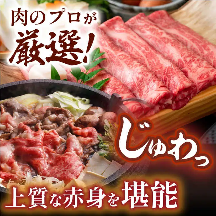 【厳選部位】【A4?A5】長崎和牛サーロインしゃぶしゃぶすき焼き用　500g【株式会社MEAT PLUS】[MG06]