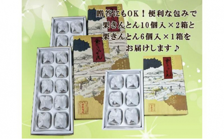 中津川銘菓：栗きんとん26個（10個入×2箱+6個入×1箱）[秋季限定] 信玄堂 【12月お届け】 F4N-2884