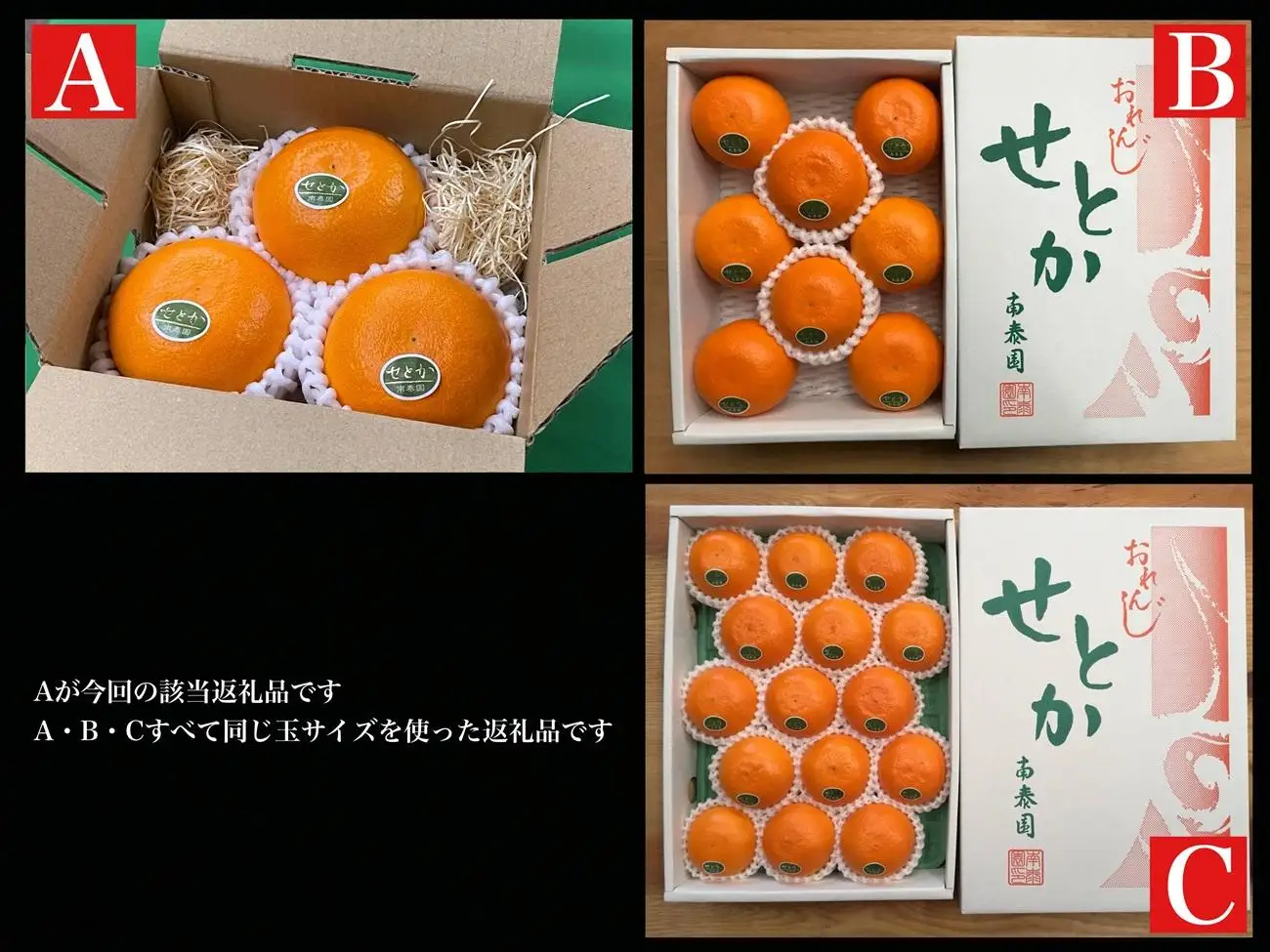 お試し規格 柑橘の大トロ ハウス せとか 厳選 小玉 3玉入 手さげ箱 × 8箱 南泰園 和歌山 有田 高級せとか 小玉 ハウス 温室 化粧箱入り 甘い オレンジ