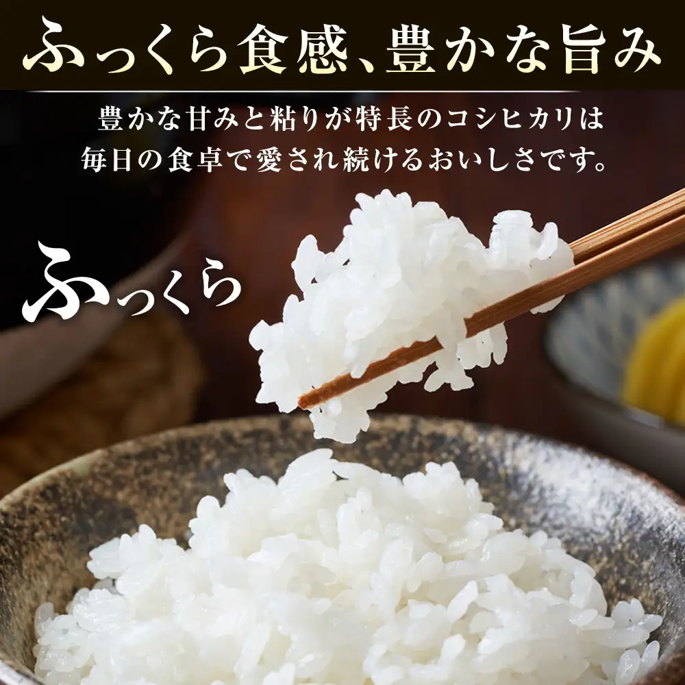 米 コシヒカリ 令和7年産 鳥取県産 3kg コシヒカリ