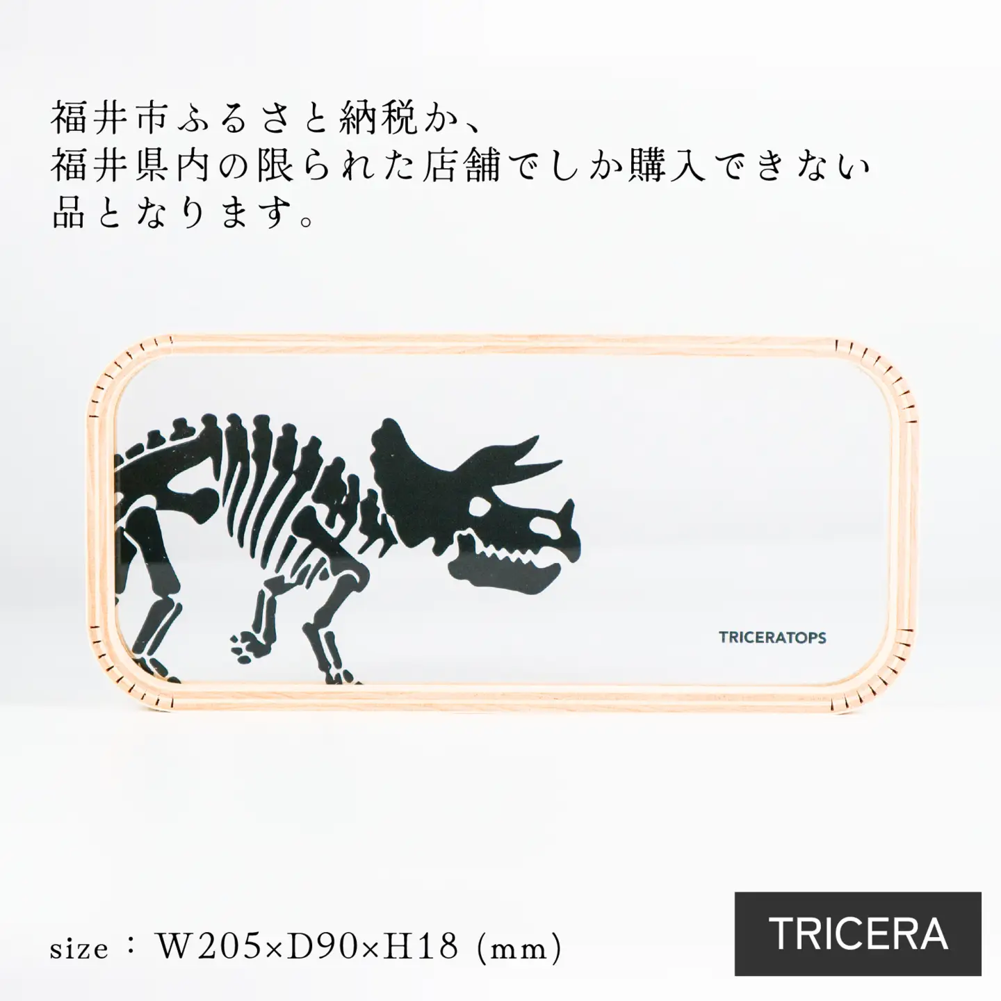 MOHEIM PEN TRAY (TRICERA) [A-053011_02]
