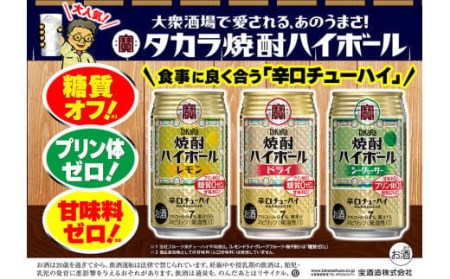 CD061 タカラ 焼酎ハイボール レモン 350ml 48本 (24本×2箱)