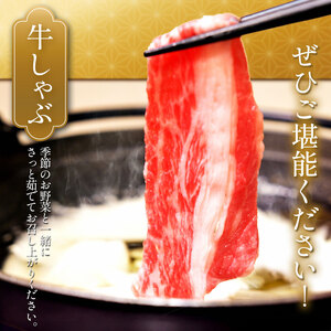 栃木県産 黒毛和牛 切り落とし 2000g 