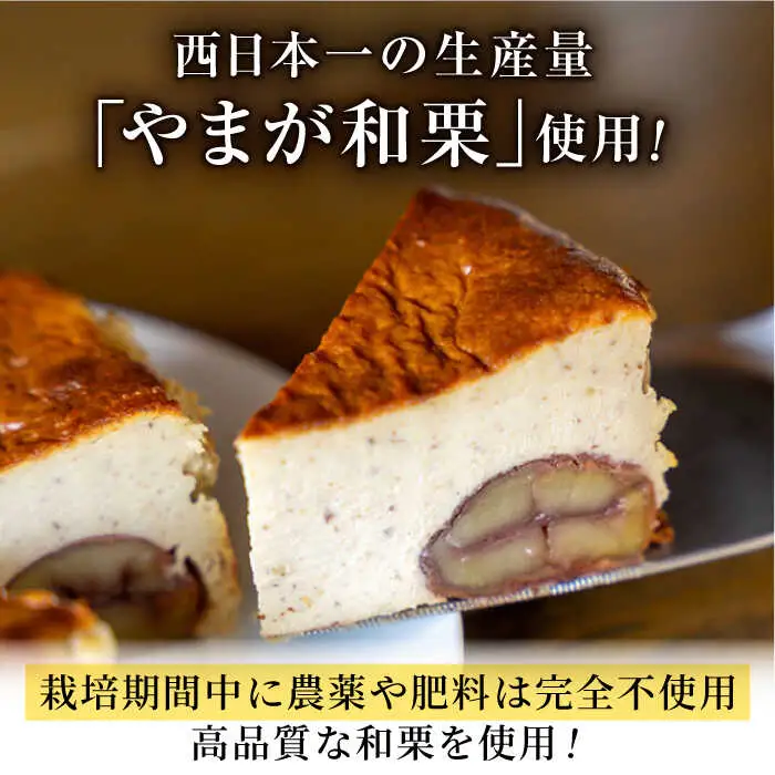 【先行予約】山鹿和栗のバスクチーズケーキ５号（15cm） 【metro】[ZEH009]