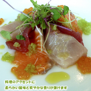 【2026年10月上旬から順次発送】フィンガーライム 50g 愛媛県 中島産| ライム 酸味 さっぱり 添え物 料理 チューハイ アルコール 炭酸 飲み物 飲料 産地直送 国産 愛媛 松山【NM0201】