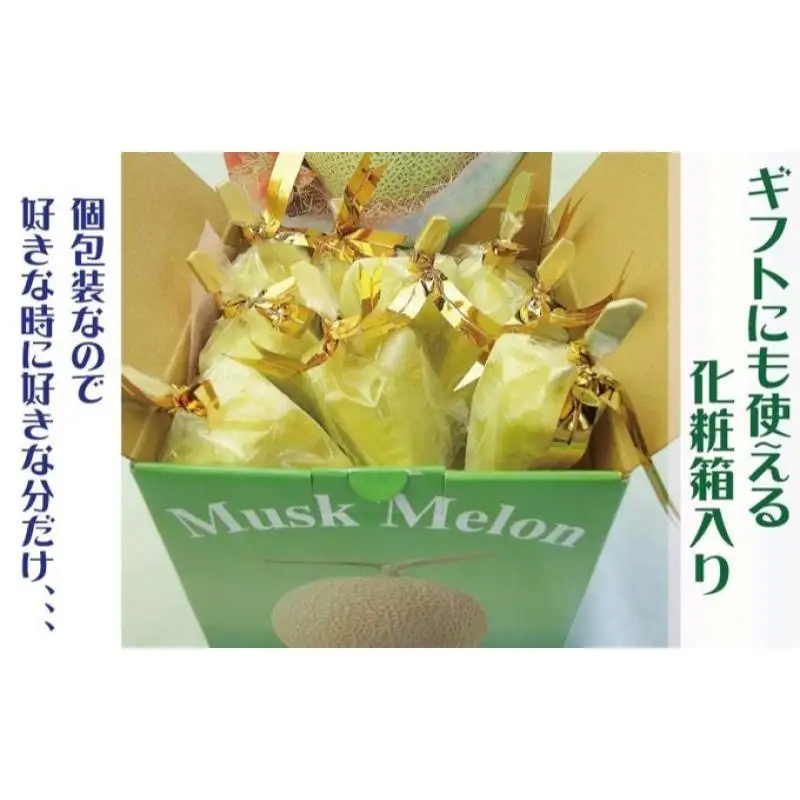 アイススティック 20本 化粧箱 冷凍 フルーツ メロン
