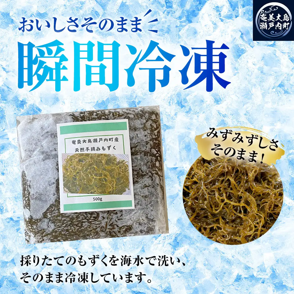 奄美大島瀬戸内町産　手摘み天然もずく 1Kg