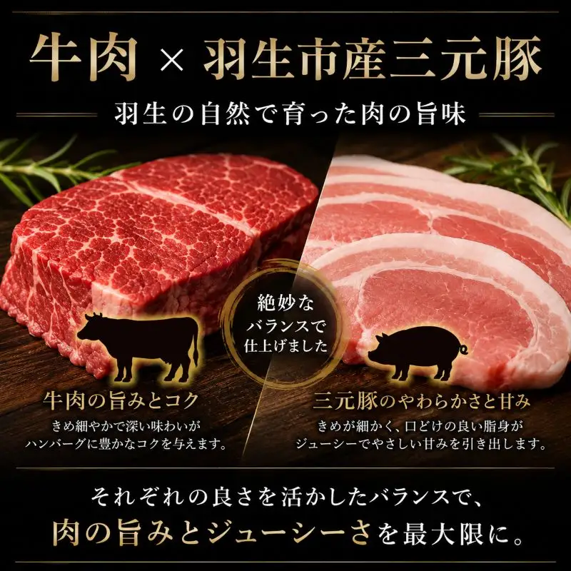 高評価★4.8 御礼！ 保存料不使用 ハンバーグ 個包装 2.4kg ギフト お歳暮 大判ハンバーグ