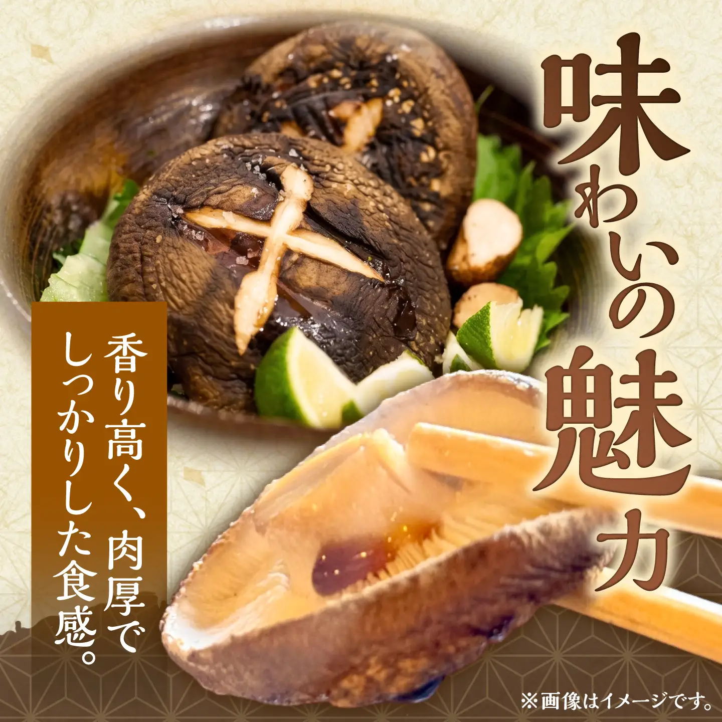 原木 生しいたけ 700g~900g | 合同会社カルシ [BNAU002]