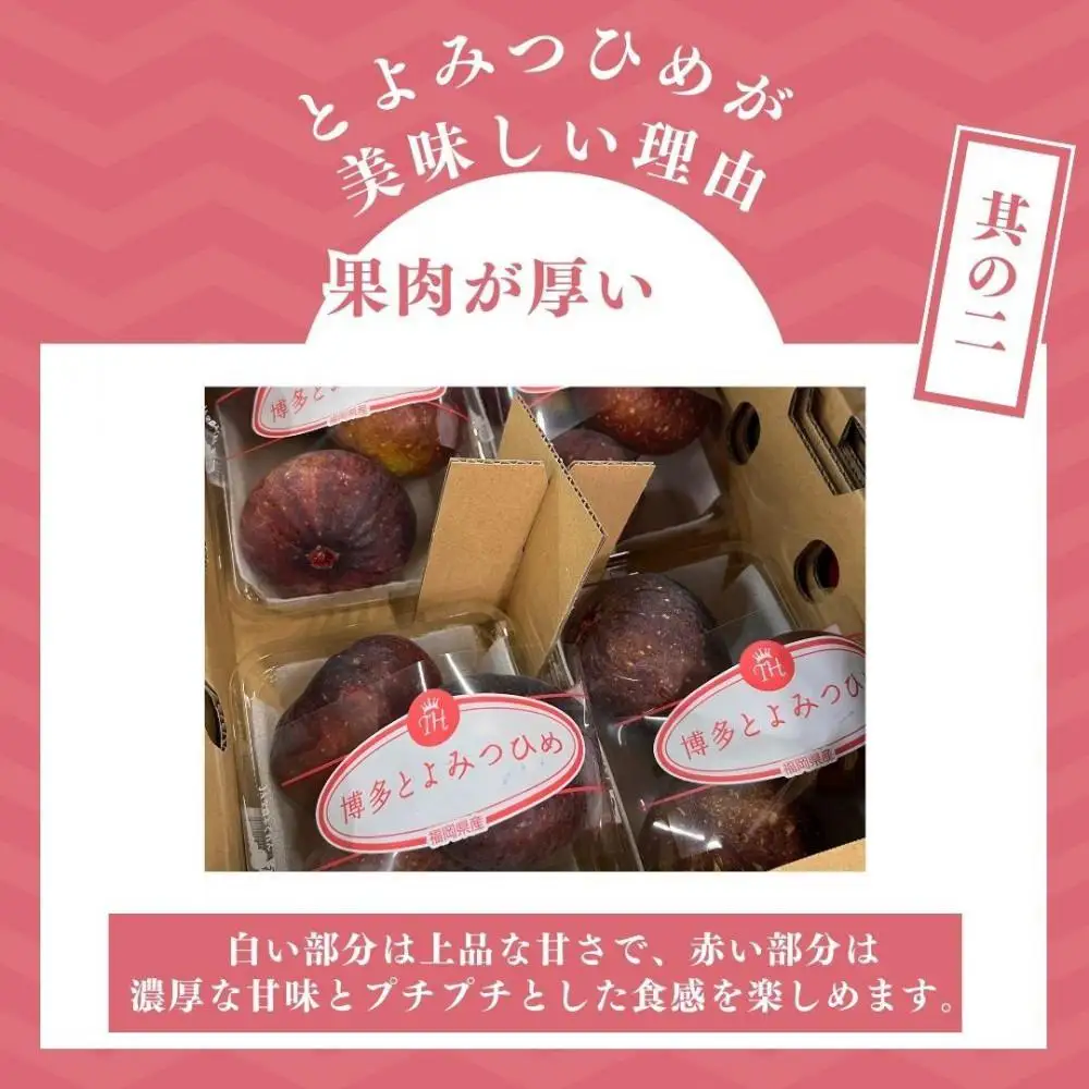 【2026年9月下旬より順次発送】福岡県産 とよみつ姫 約1.2kg以上(約300g×4パック入り) うまうまもぐもぐ