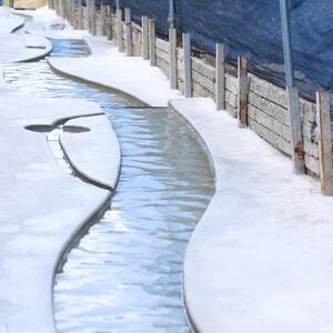 旬のぶどうを食べ放題 ぶどう狩り体験チケット 2名様分