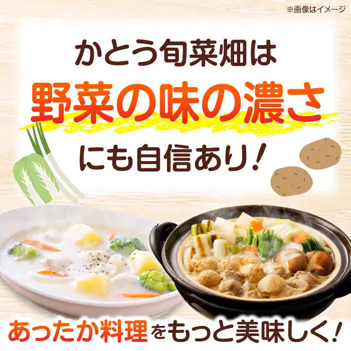冬 野菜 【11月中旬から順次発送】 おまかせ便10種 冬 野菜 かとう旬菜畑直送 [AGCW001]