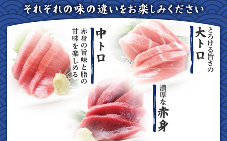 三崎のまぐろ食べ比べセット M006-010 冷凍 マグロ